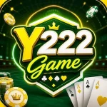 Y222 Game