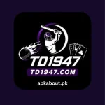TD1947 Game